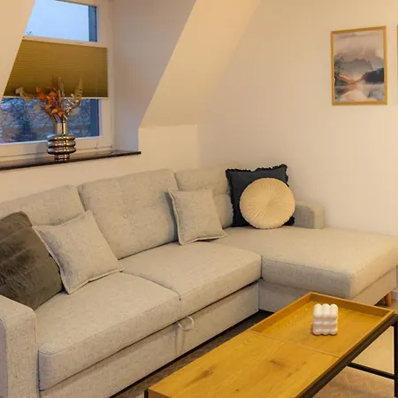 Soulscape Apartments Zwickau Kompakter Loft-Wohnraum Mit Lift Direkt In Die Wohnung, Modern, Zentrumsnah, Gratis Wifi Exterior photo