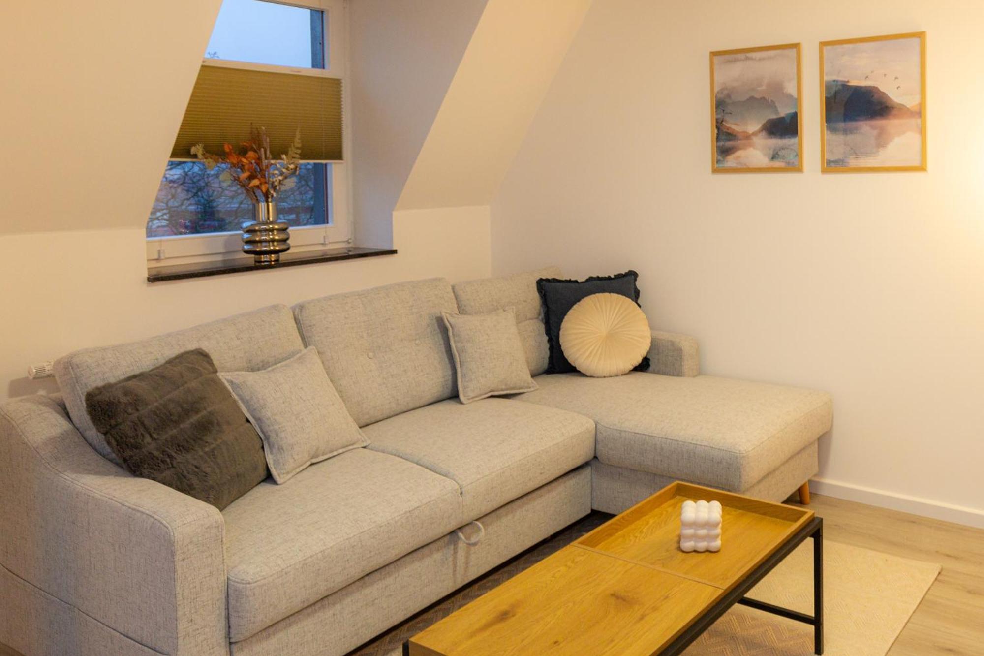 Soulscape Kompakter Loft-wohnraum Mit Lift Direkt In Wohnung, Modern, Zentrumsnah, Gratis Wifi Apartment Zwickau